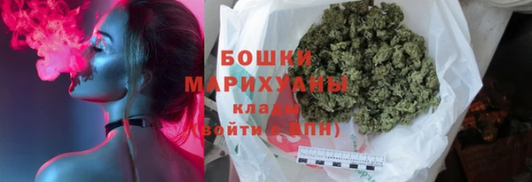гашик Снежногорск