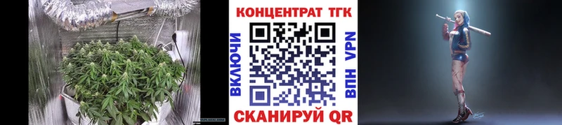 продажа наркотиков  MEGA сайт  Дистиллят ТГК THC oil  Бирюсинск 