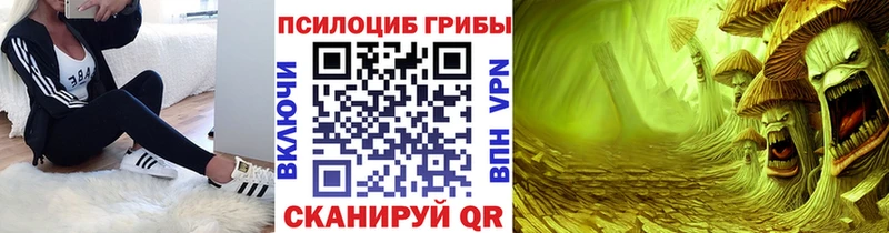 Псилоцибиновые грибы Psilocybe  Бирюсинск 