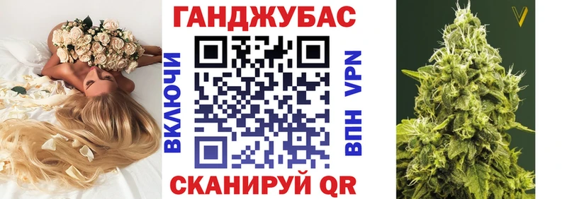 Конопля гибрид Бирюсинск